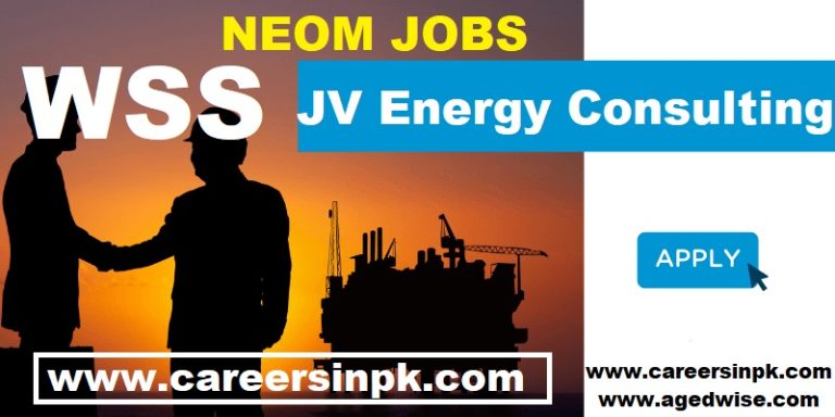 WSS JV Energy Consulting Jobs NEOM